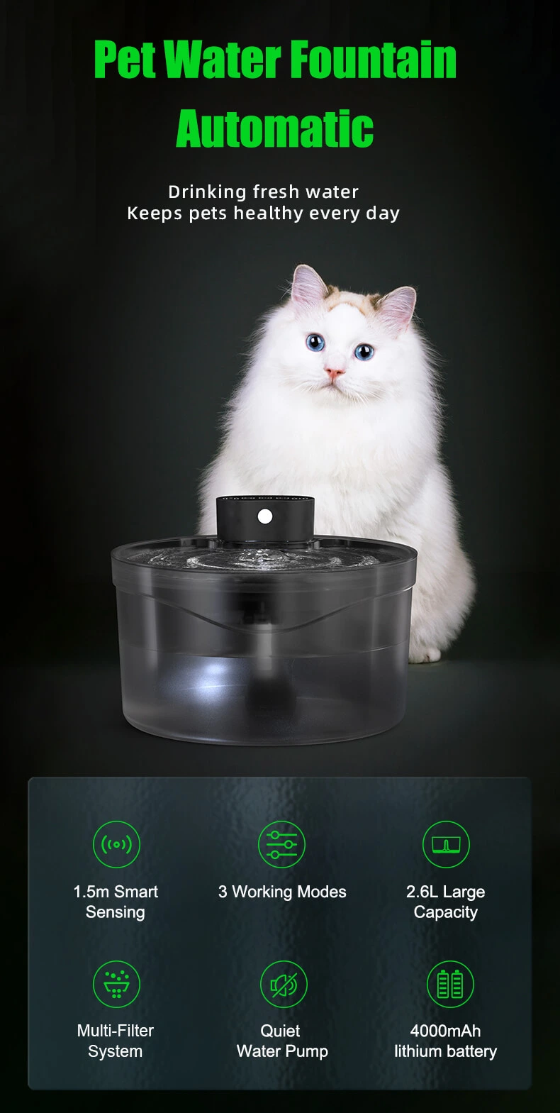 PETOEM W02 2.6L Automatic Pet Water Fountain | Smart Dog Cat Drinking D - W02 wholesale manufacturer