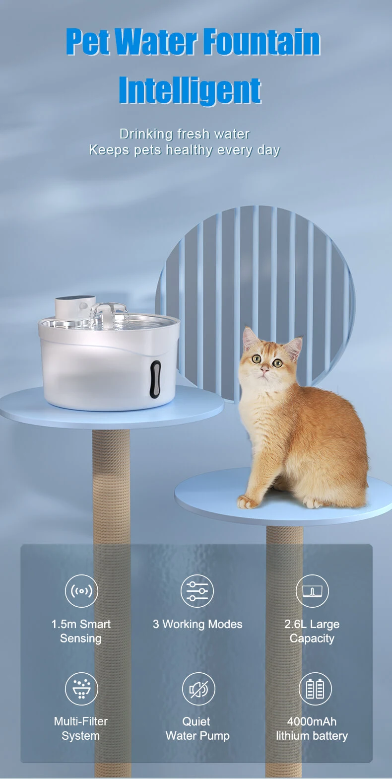 PETOEM W02SP 2.6L Stainless Steel Pet Water Fountain | Automatic Dog Cat - W02SP wholesale manufacturer