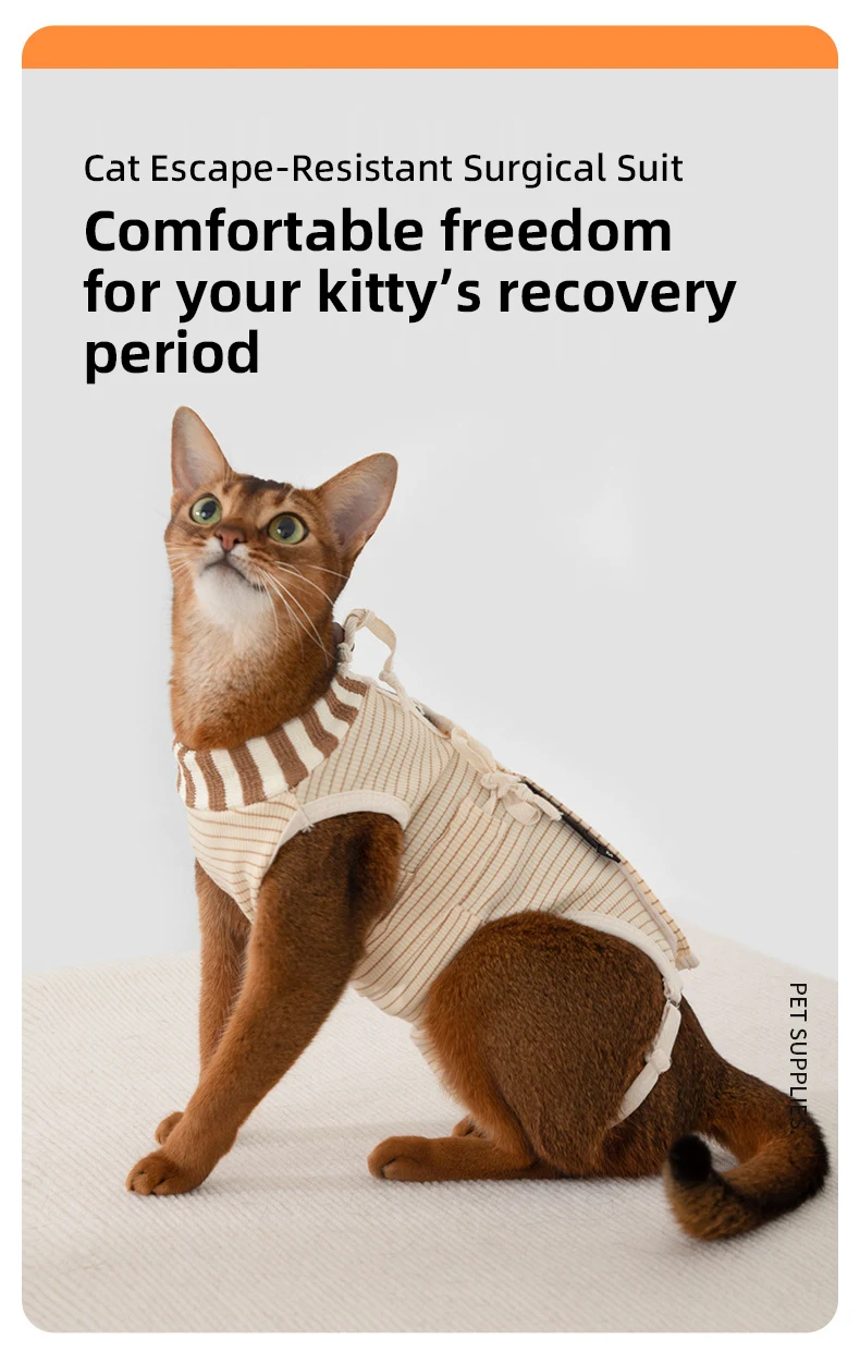 PETOEM NM-027001 Adjustable Cat Surgical Recovery Suit | Anti-Loosening for C - NM-027001 wholesale manufacturer