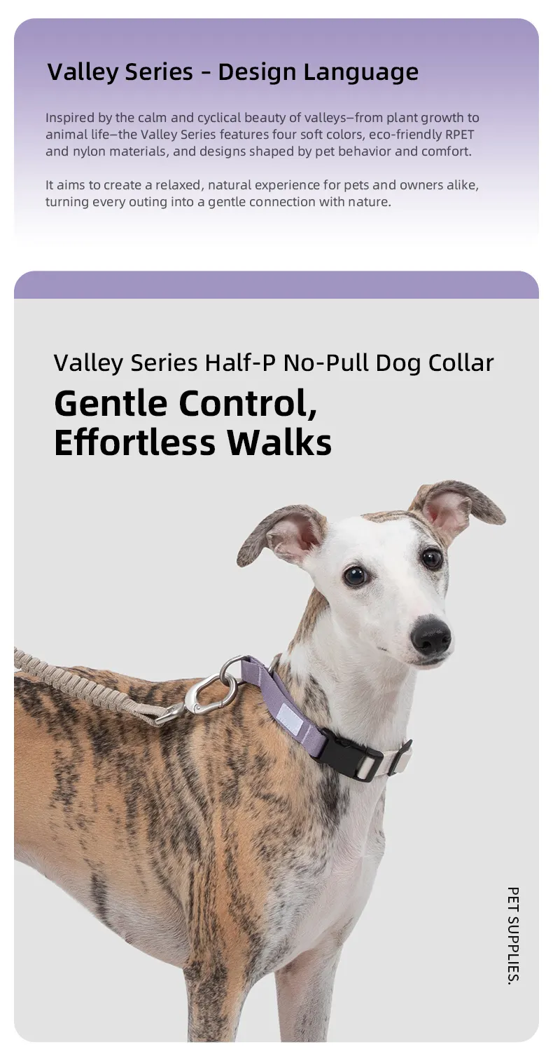 PETOEM NM-029005 Dog Collar | Lightweight Half-P Chain Design for Dogs - NM-029005 wholesale manufacturer