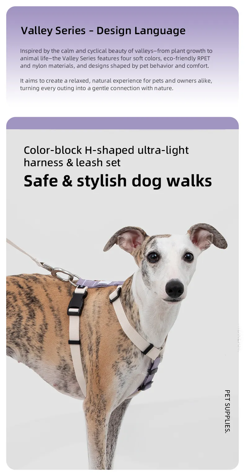 PETOEM NM-029006 Dog Harness & Leash Set | Lightweight & Adjustable - NM-029006 wholesale manufacturer