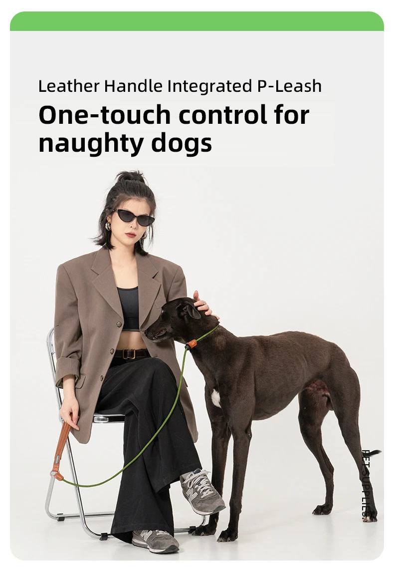 PETOEM NM-024008 No-Pull P-Leash | Nylon & Leather for Large Dogs - NM-024008 wholesale manufacturer