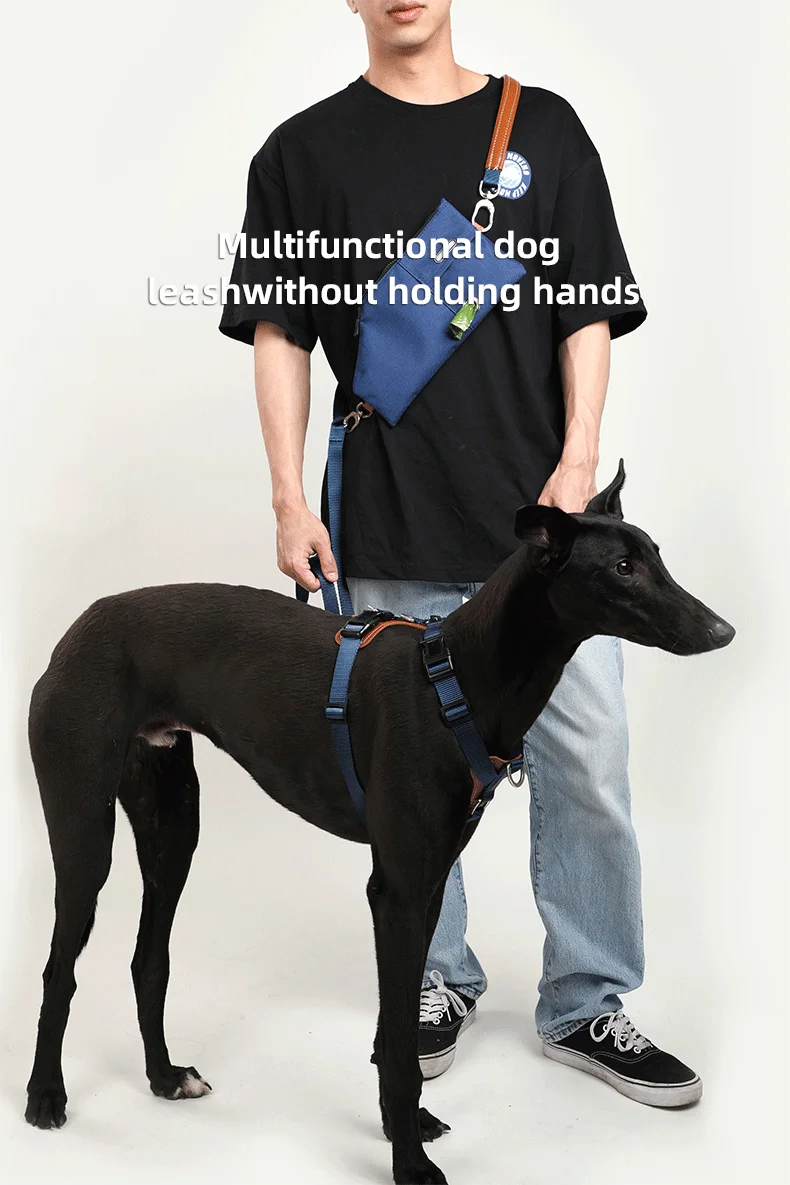 PETOEM NM-024001, 002, 003 Pull Dog Harness & Leash Set | Adjustable H-Style Training f - NM-024001, 002, 003 wholesale manufacturer