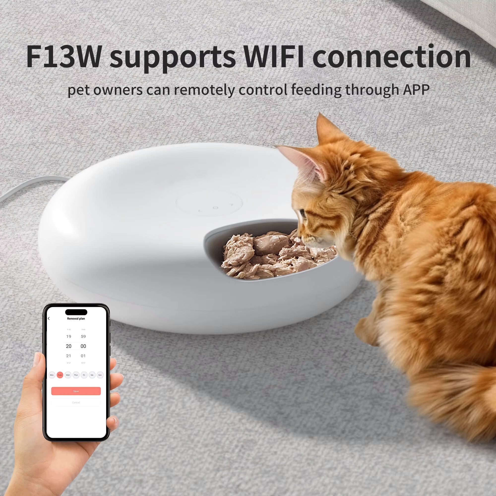 PETOEM F13-W WiFi Automatic Pet Feeder 6 Meals | With Timer & Ice Packs f - F13-W wholesale manufacturer