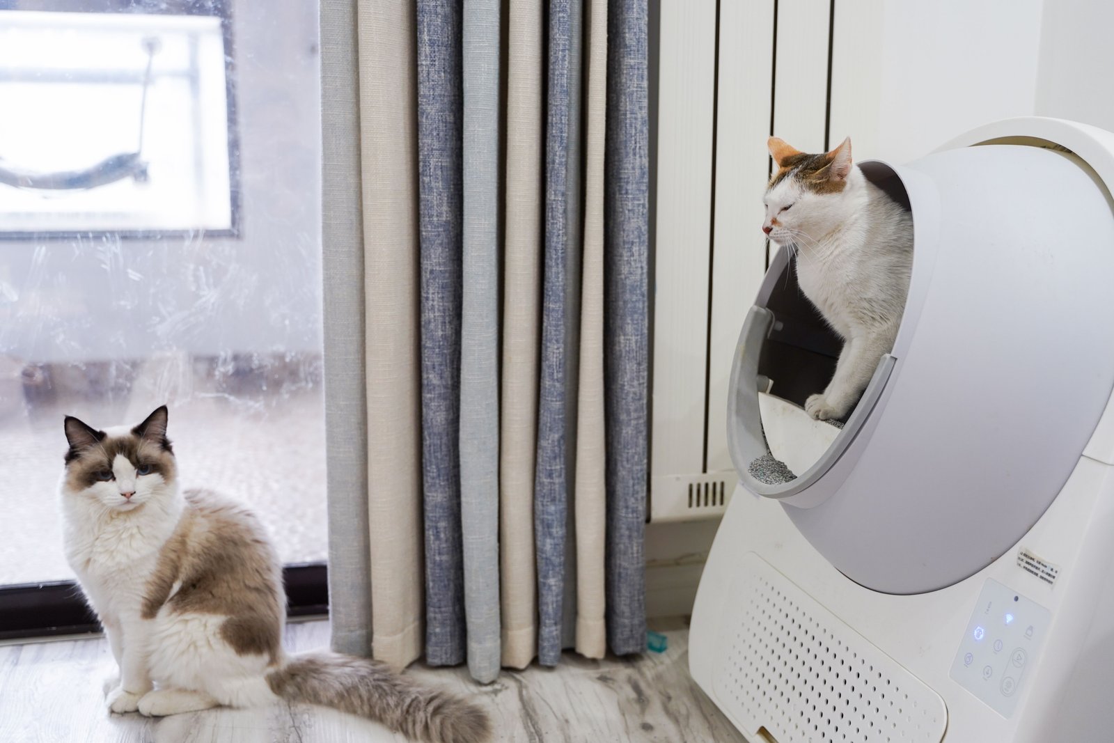 Smart Litter Box Weight-Sensor Calibration: A Buyer Acceptance Test