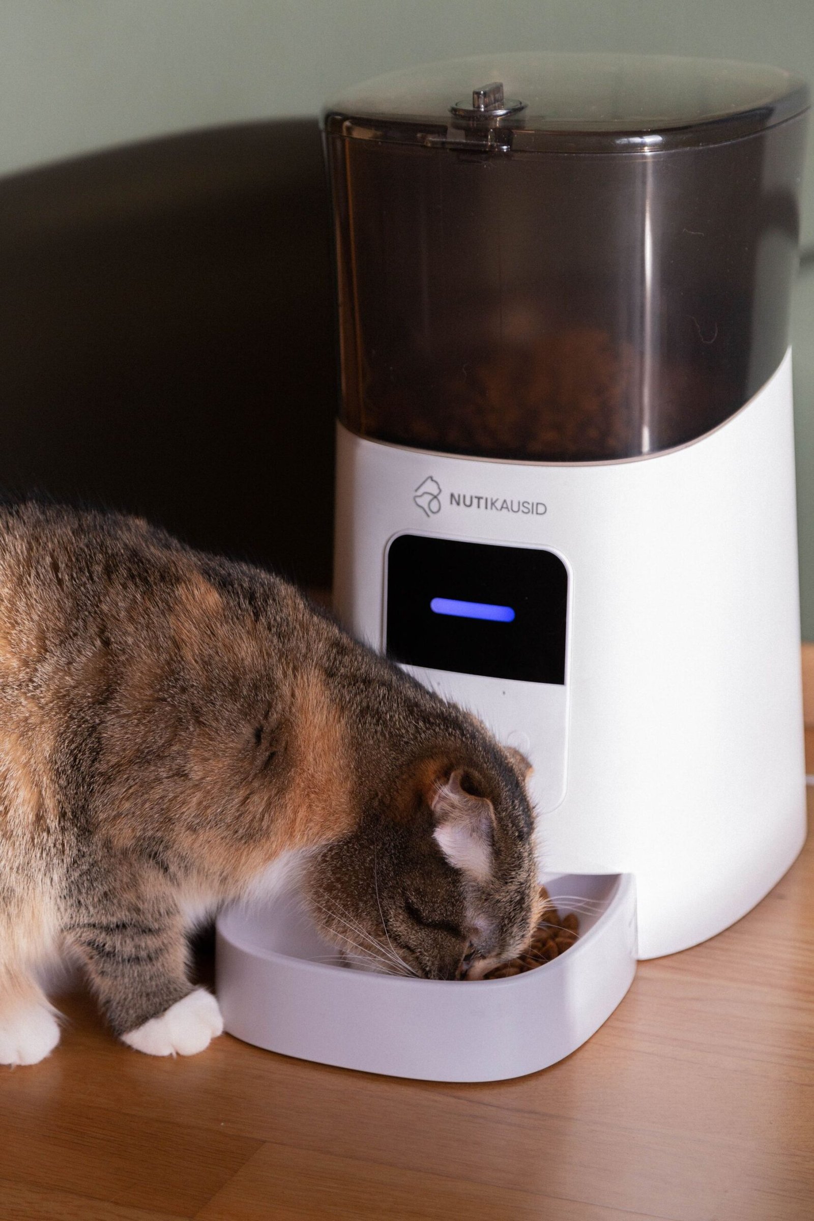 Automatic Feeder Food-Level Sensor Testing: A Buyer Acceptance Plan